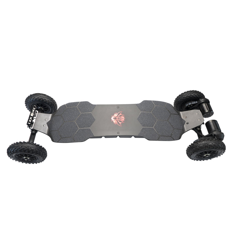 RALDEY WASP Pro 12S6P Electric Mountainboard